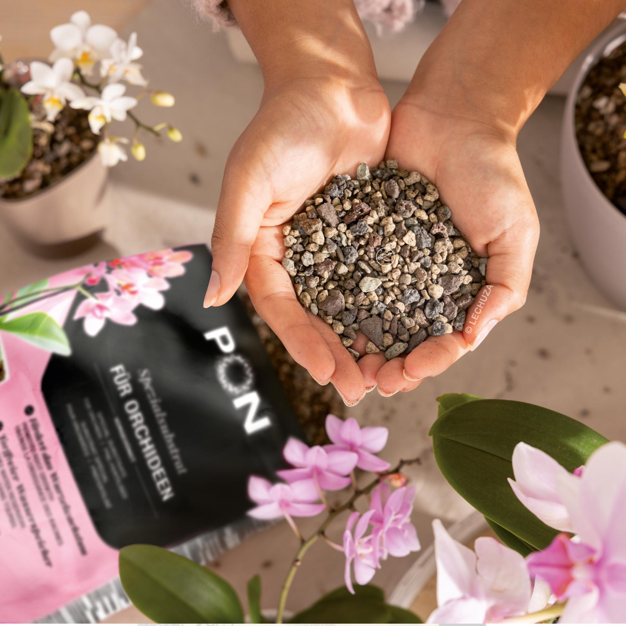 ORCHIDPON Spezialsubstrat für Orchideen 3 Liter